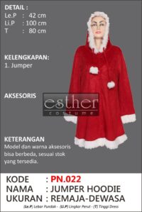 Jumper Hoodie PN.022