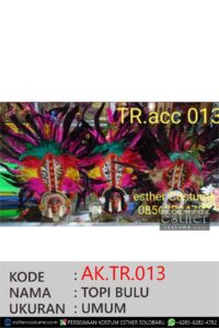 Topi Bulu